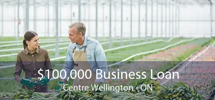 $100,000 Business Loan Centre Wellington - ON