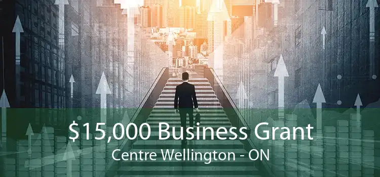 $15,000 Business Grant Centre Wellington - ON