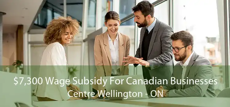 $7,300 Wage Subsidy For Canadian Businesses Centre Wellington - ON