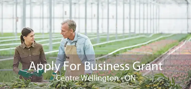 Apply For Business Grant Centre Wellington - ON