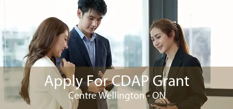 Apply For CDAP Grant Centre Wellington - ON