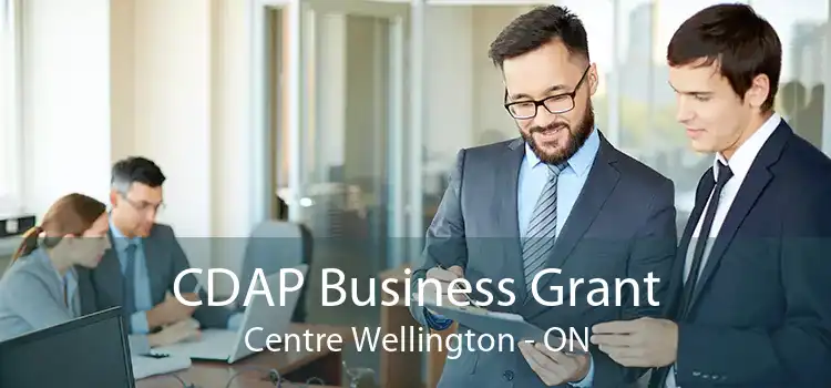 CDAP Business Grant Centre Wellington - ON