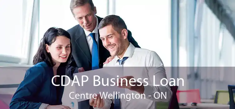 CDAP Business Loan Centre Wellington - ON